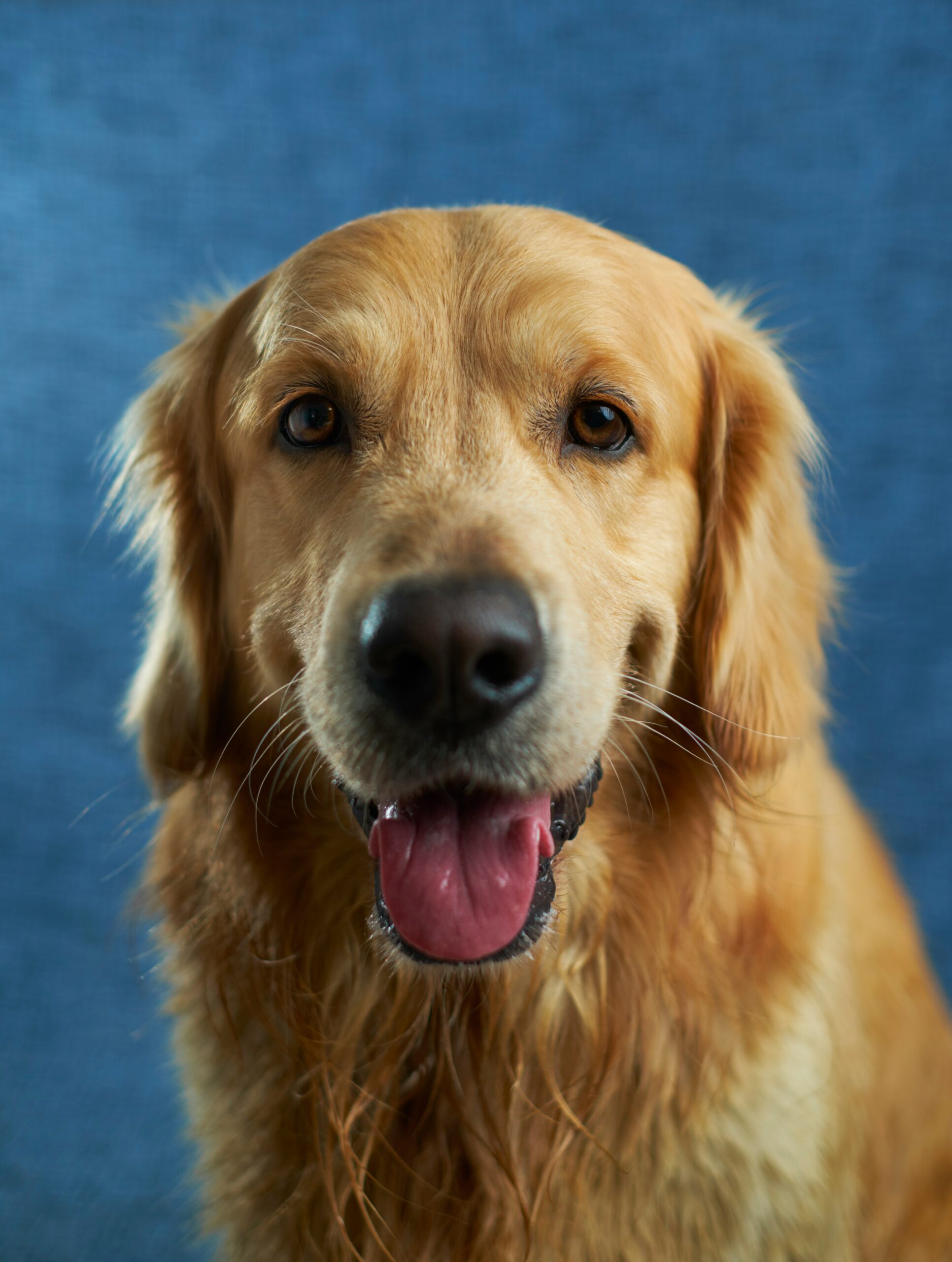 victor g x5opmhmy3kq unsplash